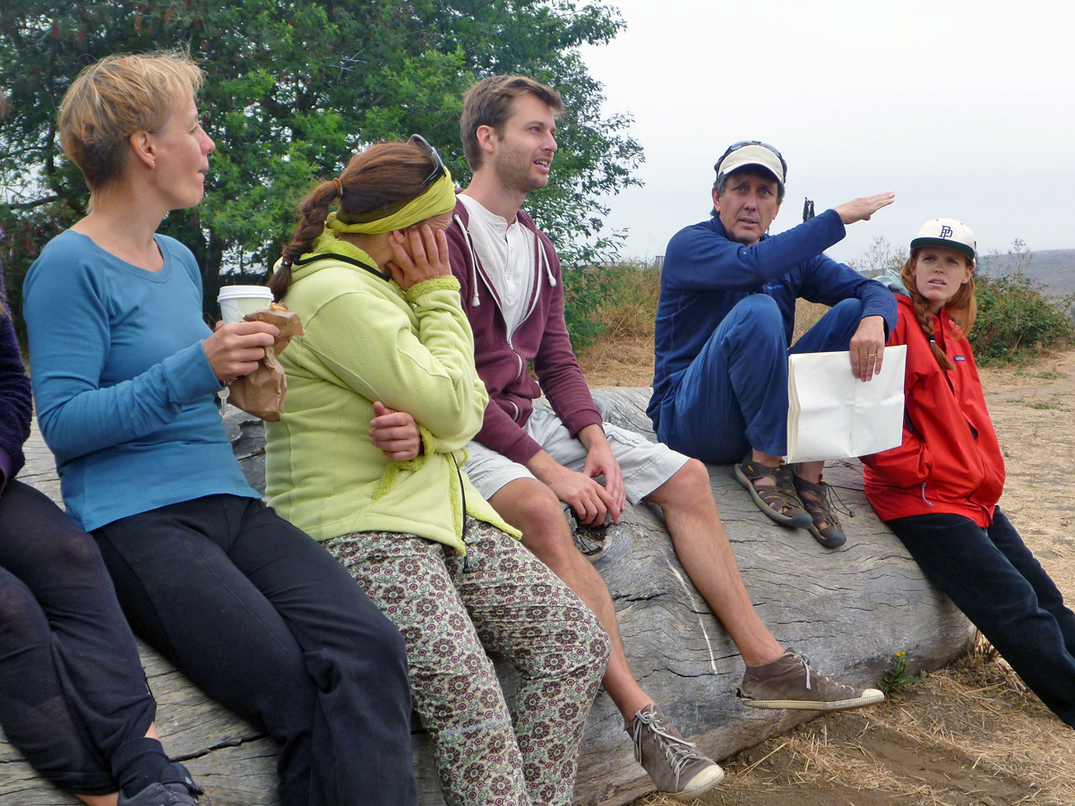 Online Workshop: Tending the Wild: Group Facilitation as an Aesthetic Practice With Ken Otter, Ph.D.